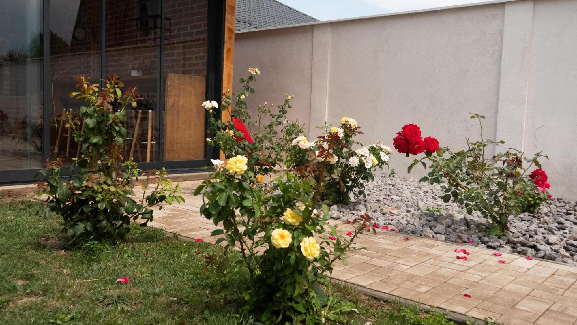 Casa Lucan Brasov Ngoại thất bức ảnh